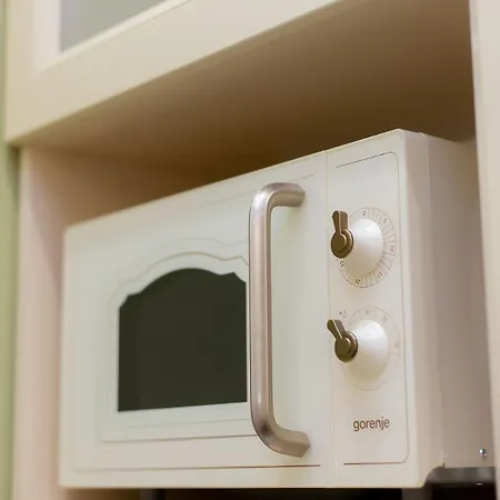 Lejlighed Old Galicia, Kopernika *